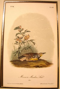 Audubon Missouri