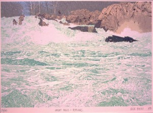 Biehl Great Falls Potomac