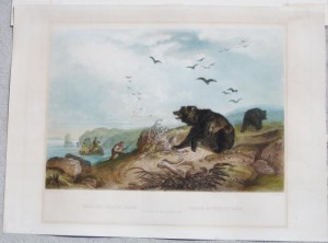 Bodmer Hunting Bear (1)